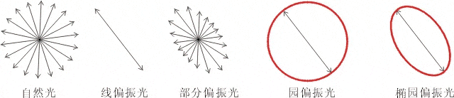 什么是偏振光？偏振光是如何完成檢測的？